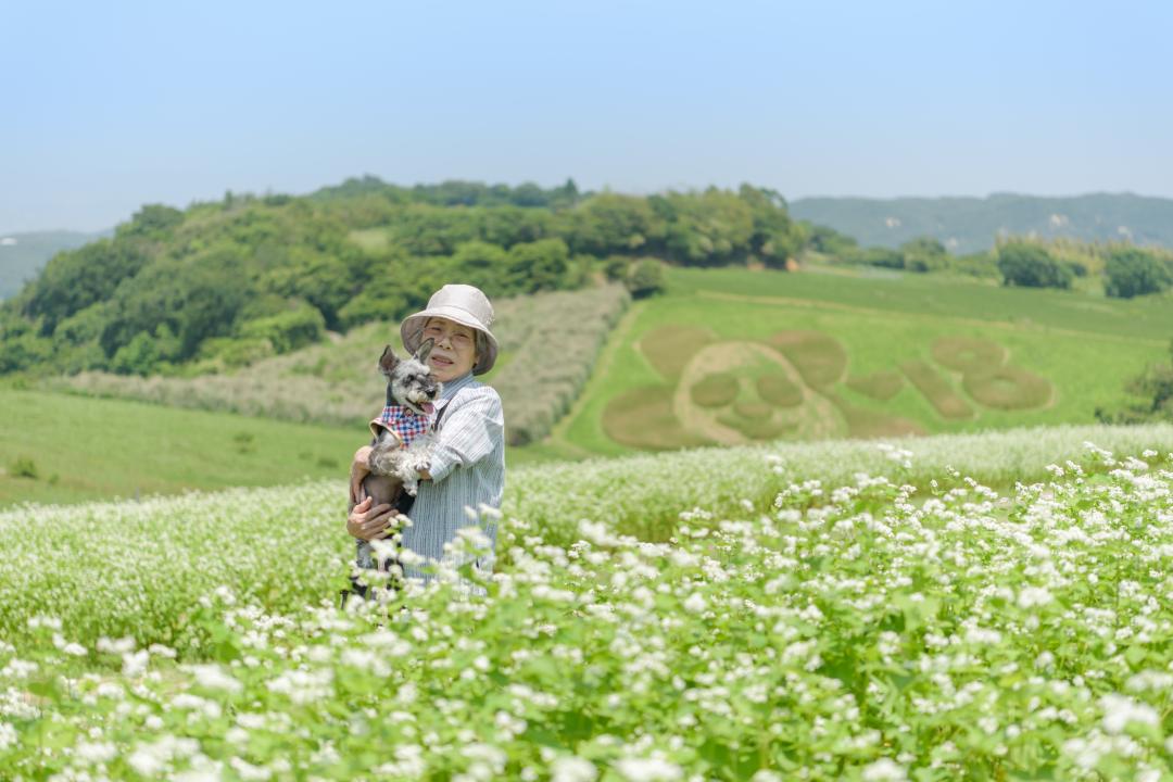 蕎麦花畑でだっこ