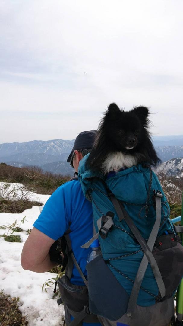 雪山散歩