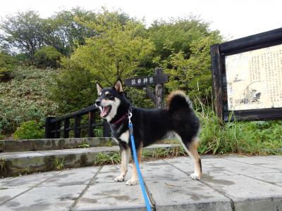 空気がうまいでござるー!