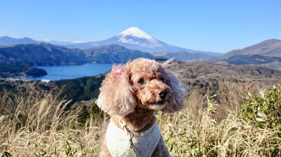 富士山をバックに記念撮影