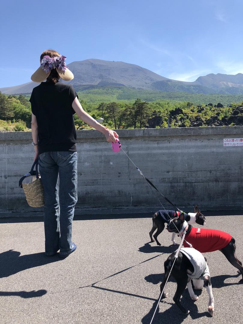 浅間山と犬3匹