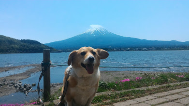 富士山とボク