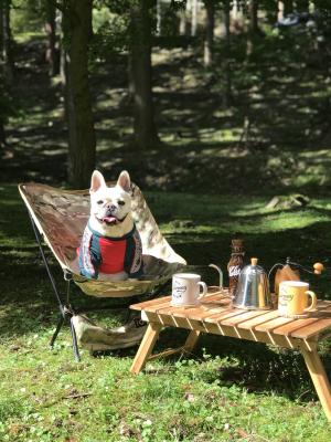 森カフェの看板犬