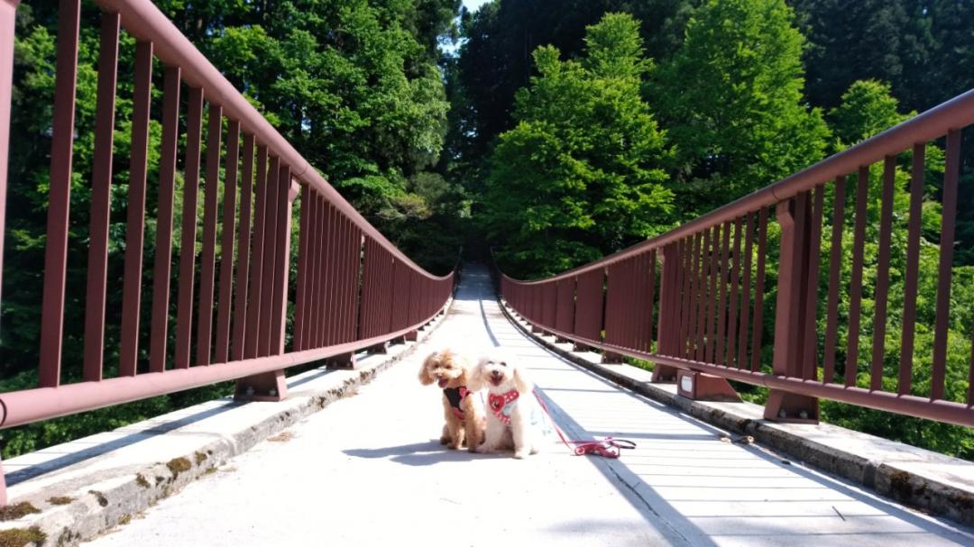 鷹ノ巣吊り橋