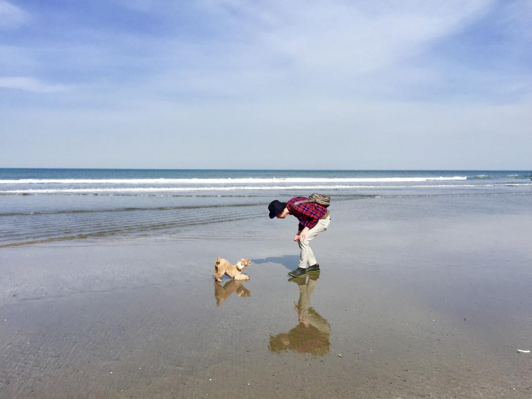 犬との対決❗️