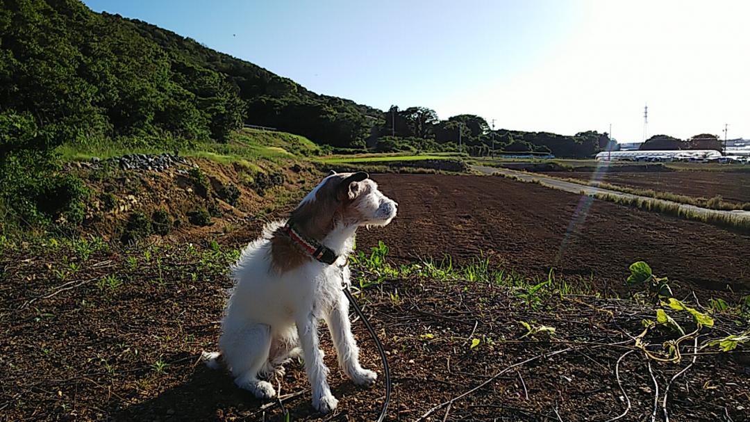 すこし丘の上から。