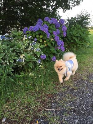 雨も上がって気分もルンルン