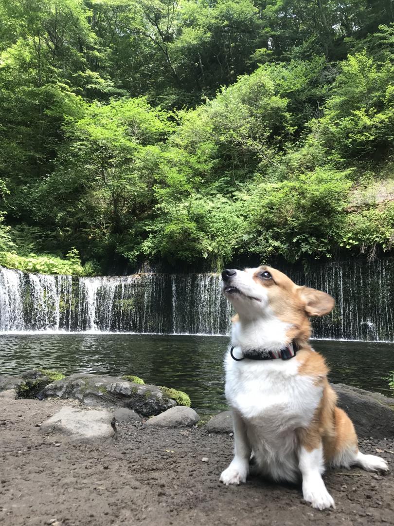 軽井沢 白糸の滝にて