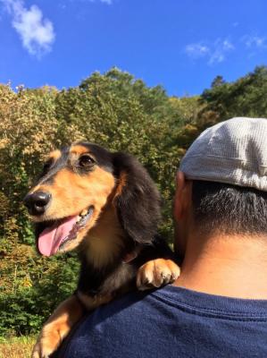 ミニ尾瀬公園