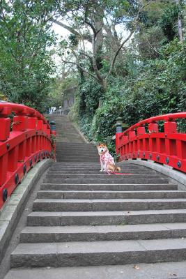 江の島に行ってきたよ！