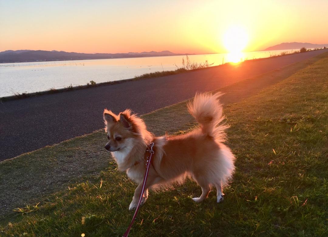 太陽さん また明日！