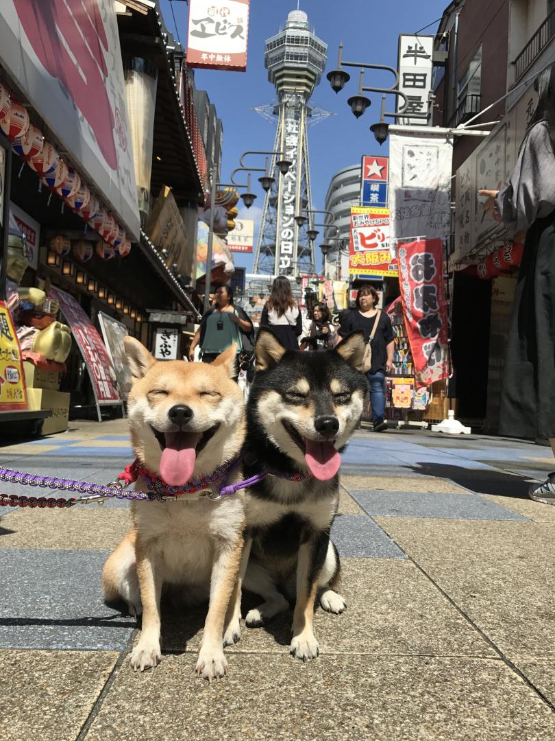 通天閣をお散歩。