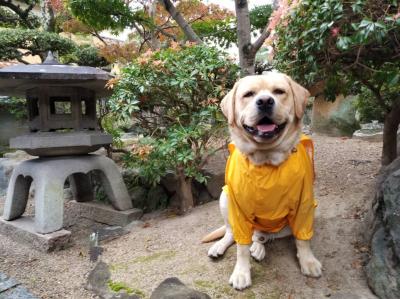 ぶちゃ男君　(*'▽')　おやつ食べ過ぎやろーー