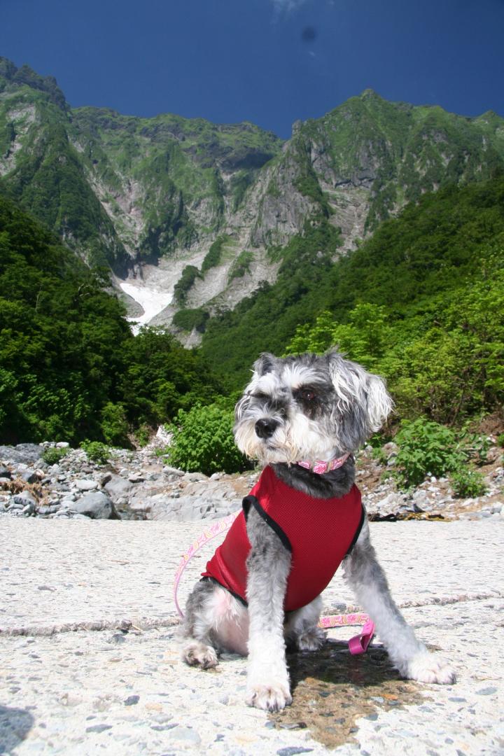 いっしょに山登り