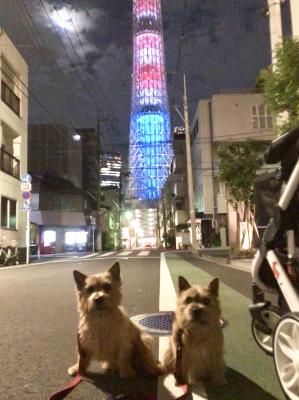 ちょっと夜遊び