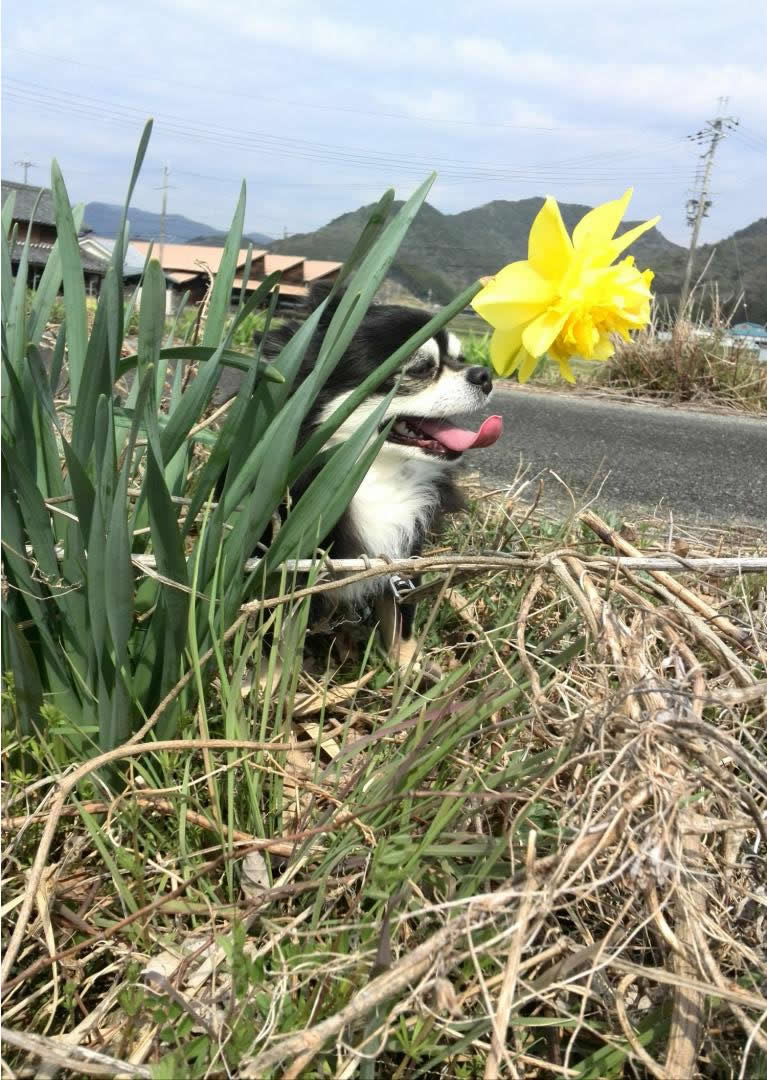 気持ちーいい‼︎