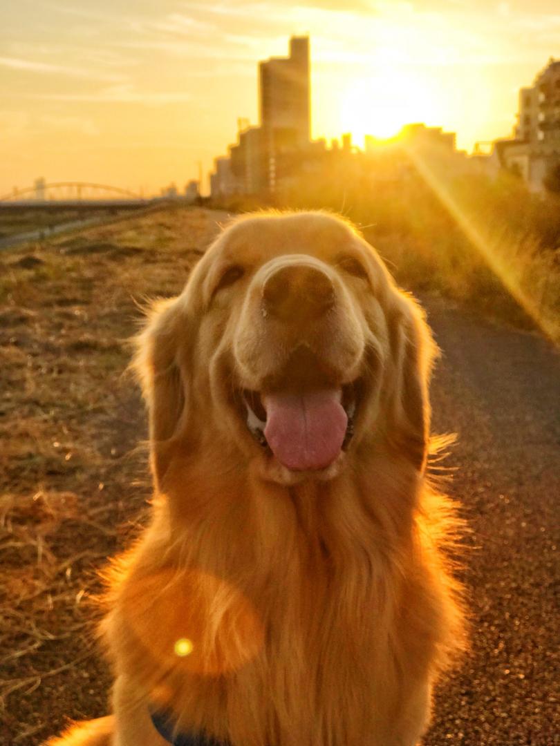 綺麗な夕日を見に^^*