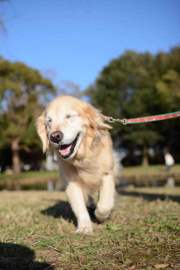 3連休だけど近所の公園