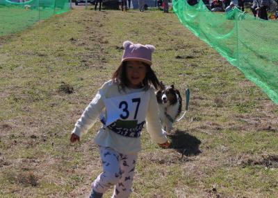 犬の運動会　50ｍ競争