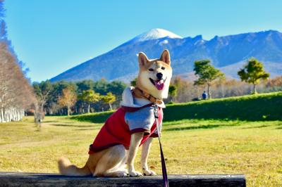 岩手山だよーん