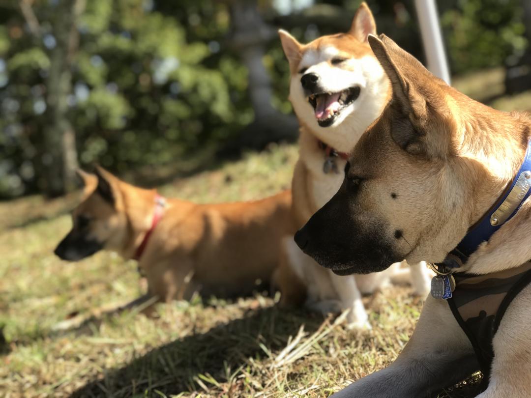 週末ゎ天日干しだヮン‎ᐡᐧﻌᐧᐡ