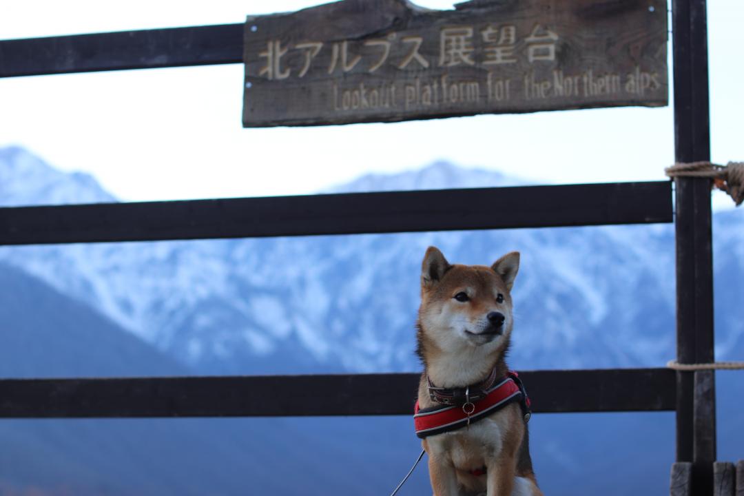 晩秋の白馬