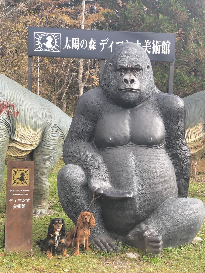 美術館の庭園で芸術堪能