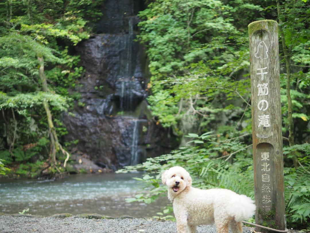 千筋の滝