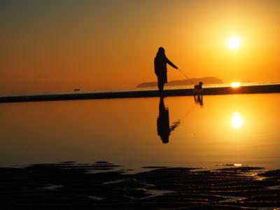 夕日の中の散歩