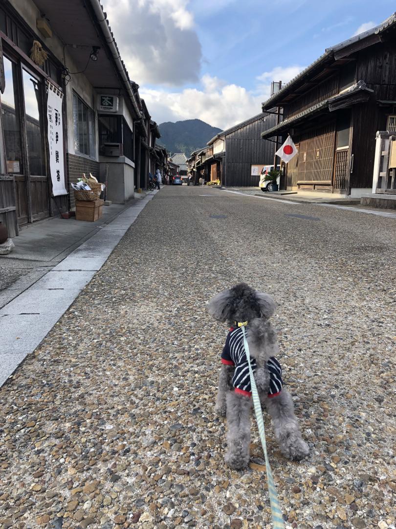 明日もいいことあるさっ！