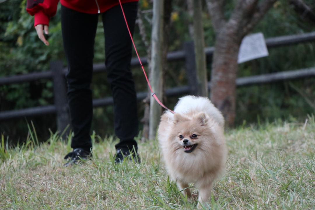 甲山森林公園