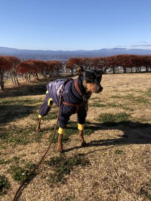 故郷の風景と一緒に