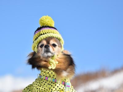 あらま！！雪降ったのね～