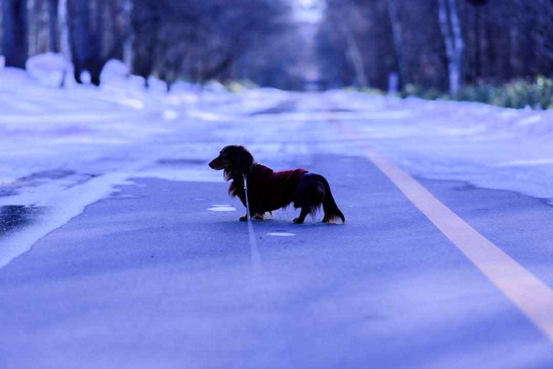 雪遊び