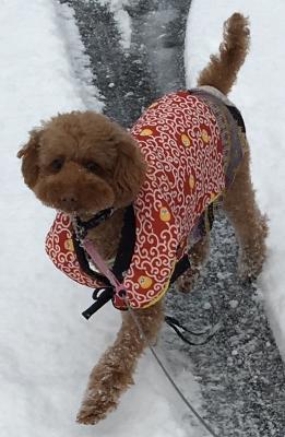 ちゃんちゃんこ着て⛄️