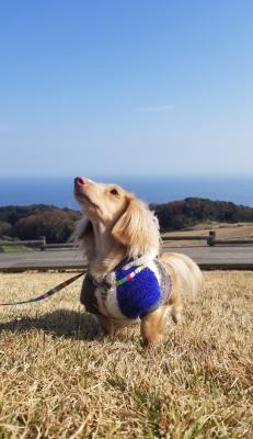 海の匂いがするよ