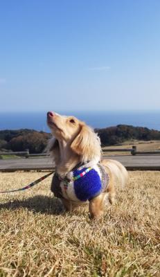 海の匂いがするよ