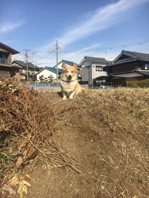 頂上からみる景色