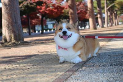 甲府のスポーツ公園にて