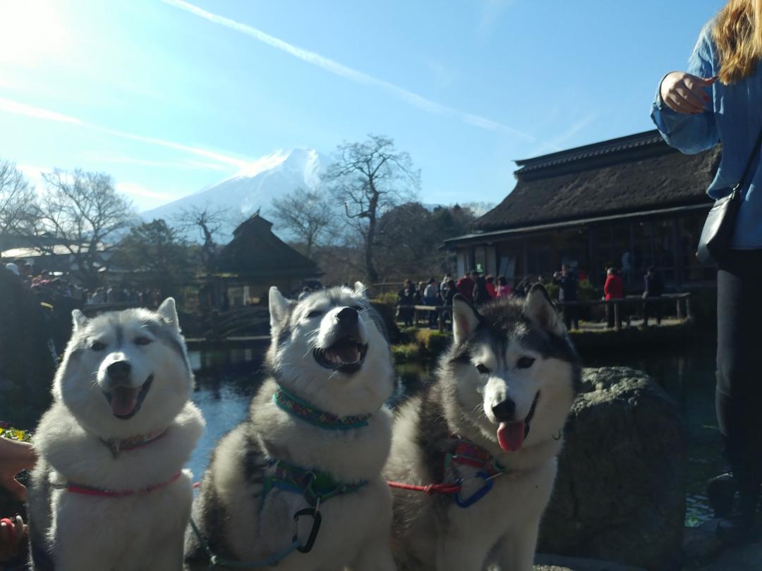 忍野八海にて