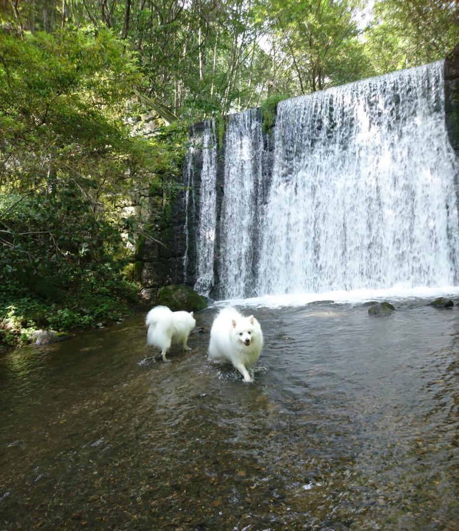 軽井沢旅行