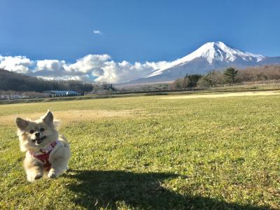 みんな待って～♪