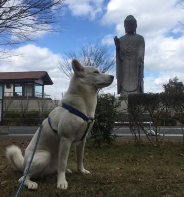 背比べの相手は身長120m