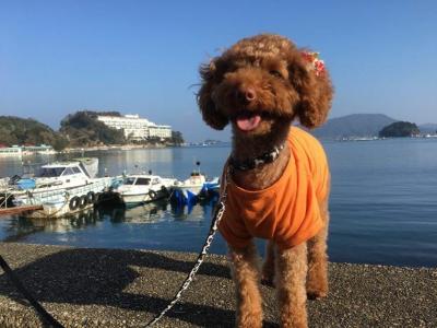 お正月旅行で鳥羽わんわんパラダイス裏の海