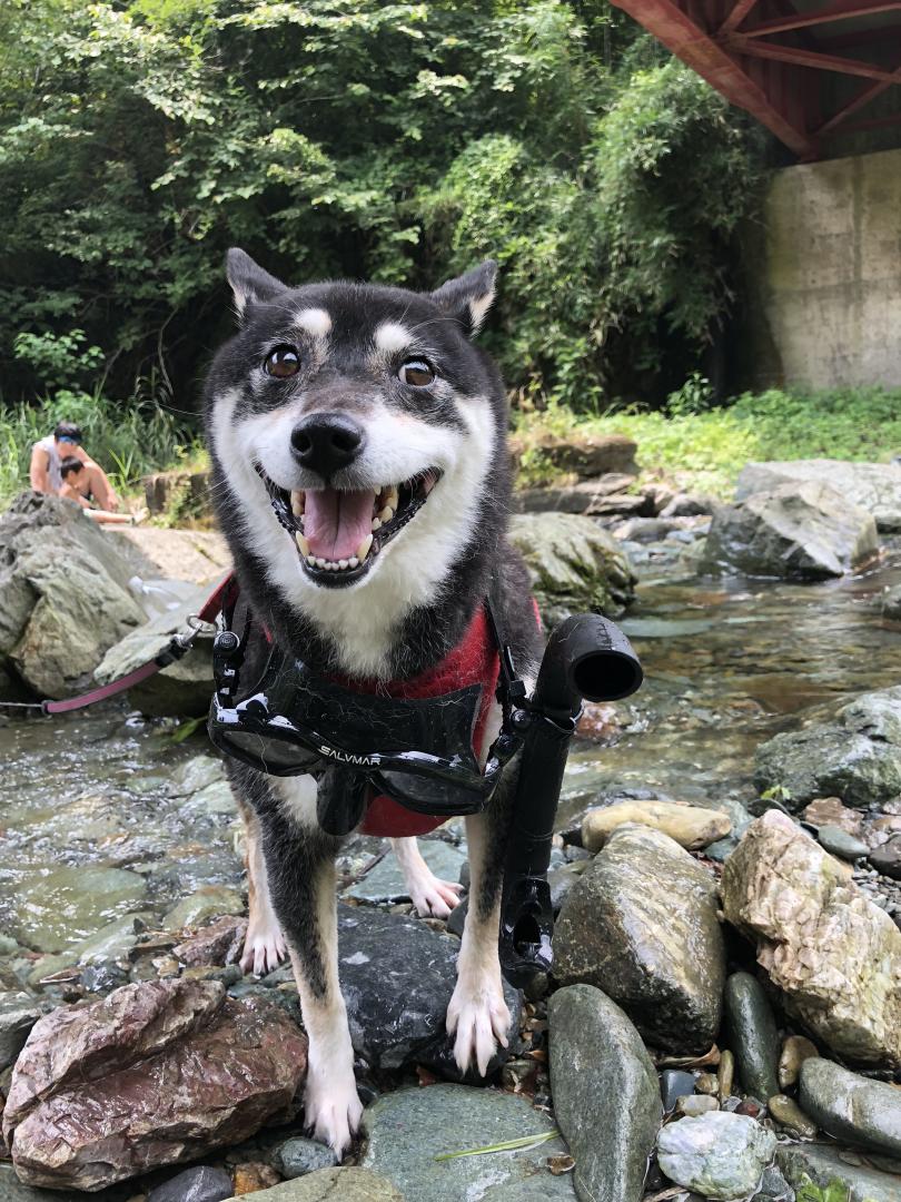 潜水は楽しい！