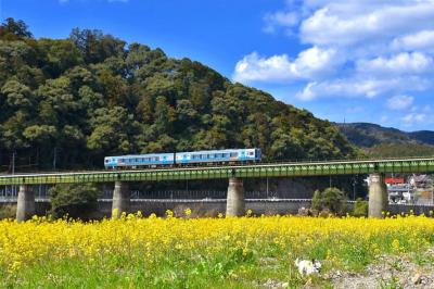 菜の花と電車とりくちゃん