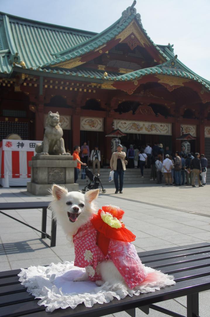 お祭り