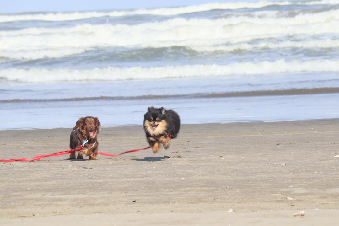 2人とも初めての海