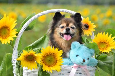 幸せ気分の暑い夏