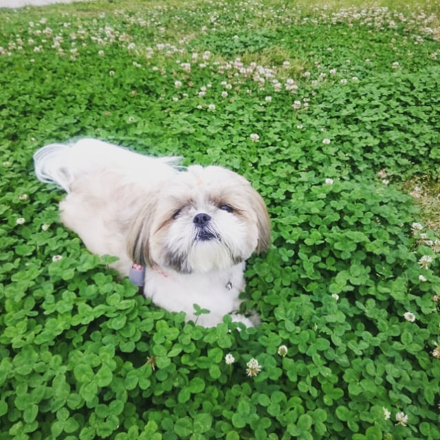 冷たく気持ち～✨